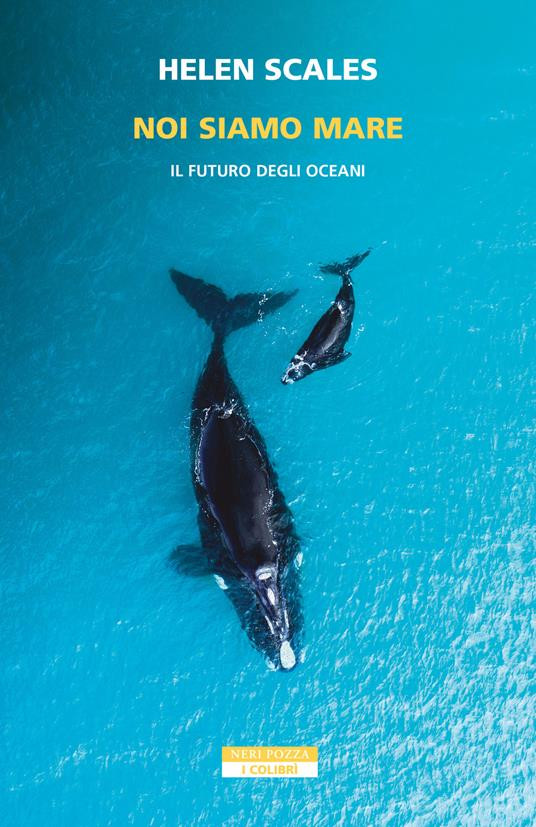 NOI SIAMO MARE