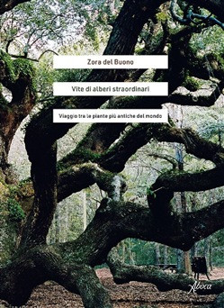 VITE DI ALBERI STRAORDINARI