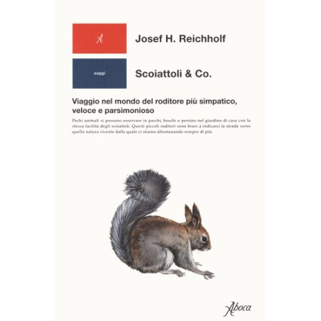 SCOIATTOLI & CO