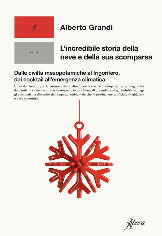 L INCREDIBILE STORIA DELLA NEVE E DELLA SUA SCOMPARSA