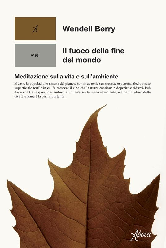 IL FUOCO DELLA FINE DEL MONDO