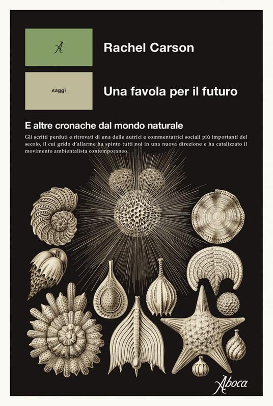 UNA FAVOLA PER IL FUTURO