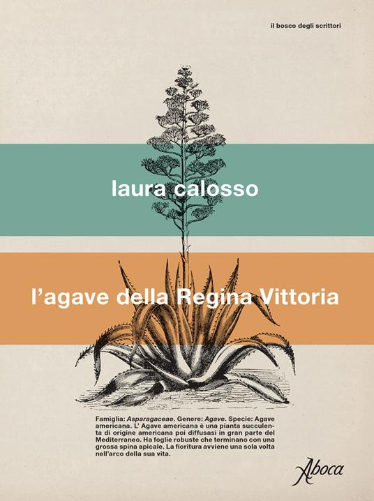 L AGAVE DELLA REGINA VITTORIA