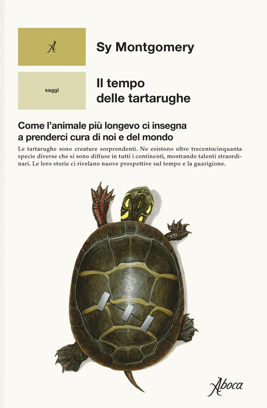 IL TEMPO DELLE TARTARUGHE