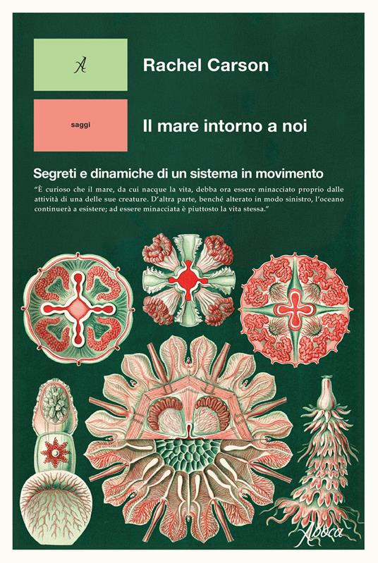 IL MARE INTORNO A NOI