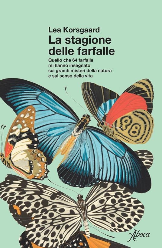 LA STAGIONE DELLE FARFALLE