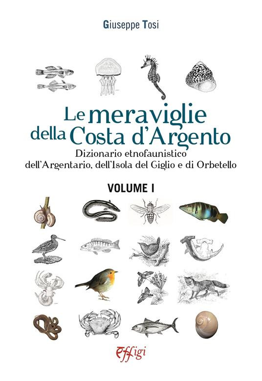 LE MERAVIGLIE DELLA COSTA D ARGENTO