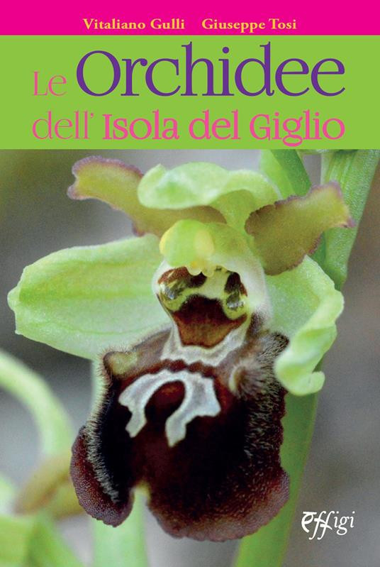 LE ORCHIDEE DELL ISOLA DEL GIGLIO