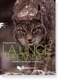 LA LINCE APPENNINICA