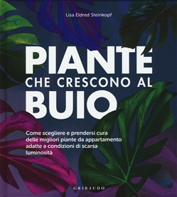 PIANTE CHE CRESCONO AL BUIO