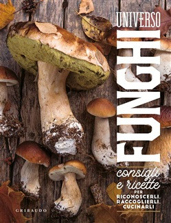 UNIVERSO FUNGHI