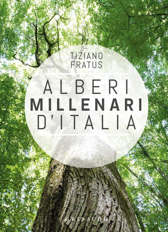 ALBERI MILLENARI D ITALIA