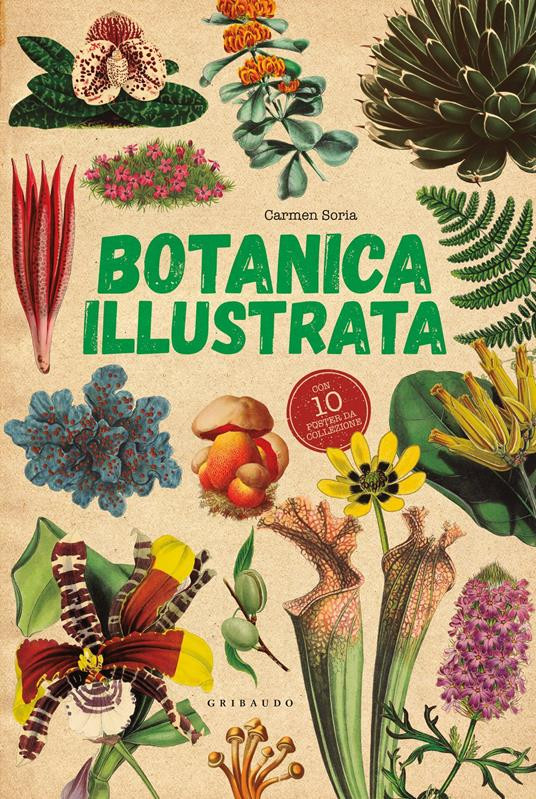 BOTANICA ILLUSTRATA