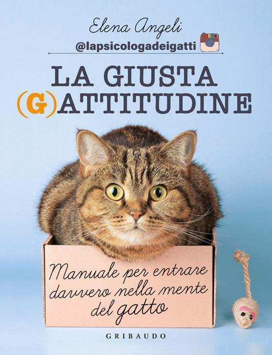 LA GIUSTA GATTITUDINE