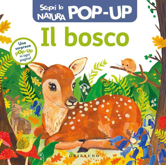 IL BOSCO SCOPRI LA NATURA POP UP