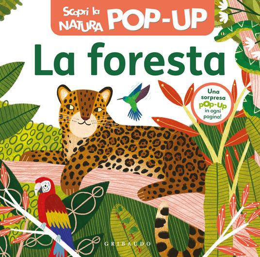LA FORESTA SCOPRI LA NATURA POP UP