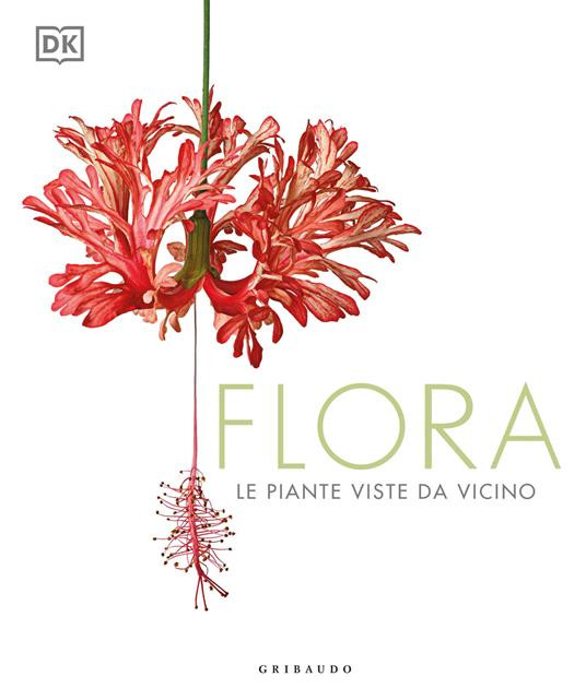 FLORA