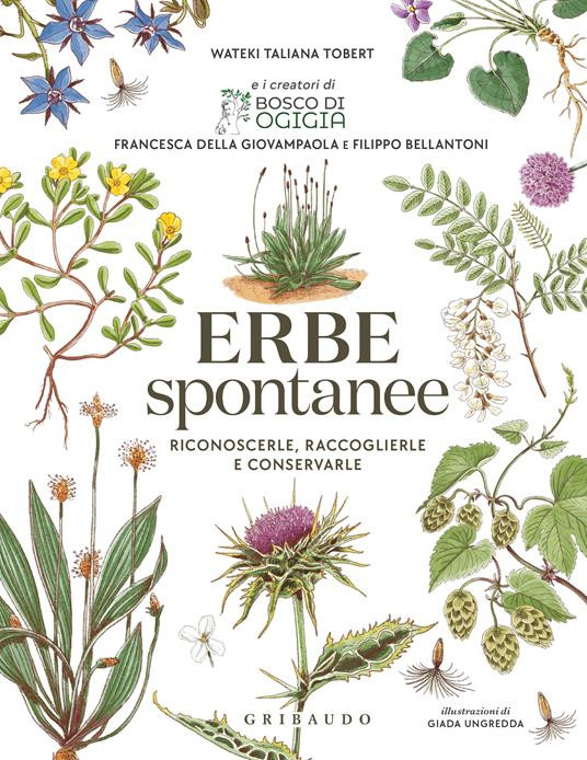 ERBE SPONTANEE