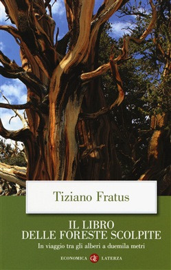 IL LIBRO DELLE FORESTE SCOLPITE