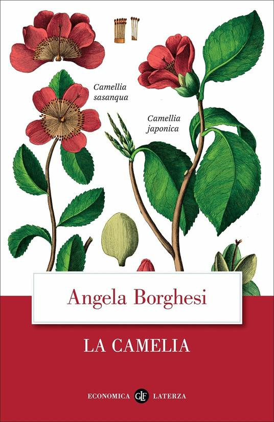 LA CAMELIA