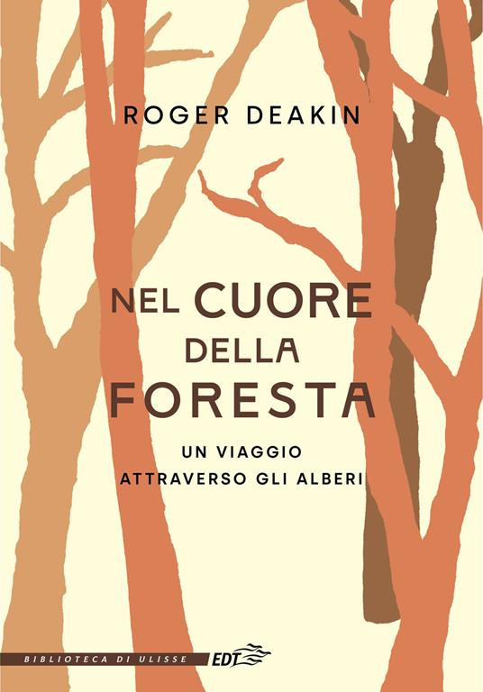 NEL CUORE DELLA FORESTA