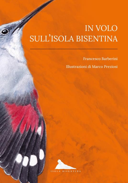 IN VOLO SULL ISOLA BISENTINA