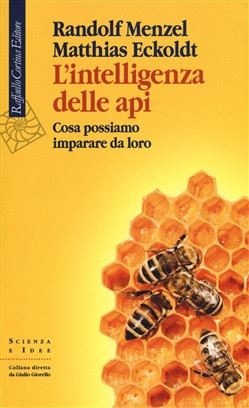 L INTELLIGENZA DELLE API