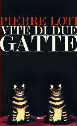 VITE DI DUE GATTE