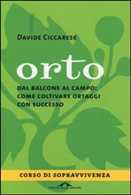 ORTO