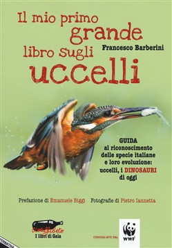 IL MIO PRIMO GRANDE LIBRO SUGLI UCCELLI