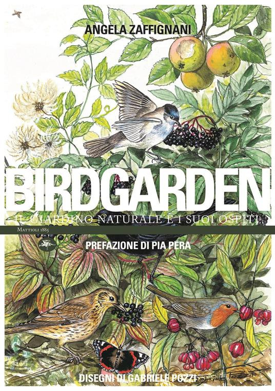 BIRDGARDEN