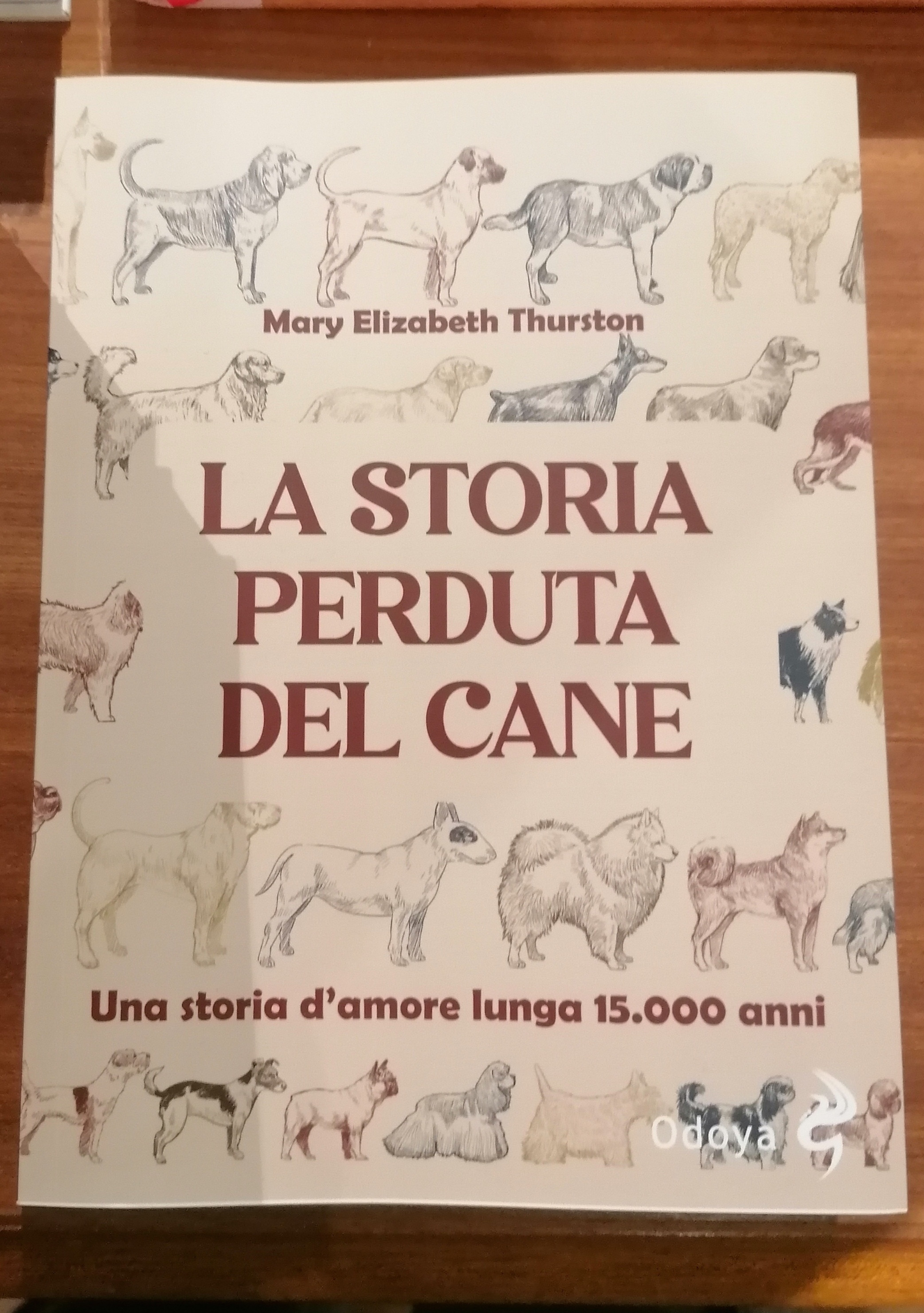 LA STORIA PERDUTA DEL CANE