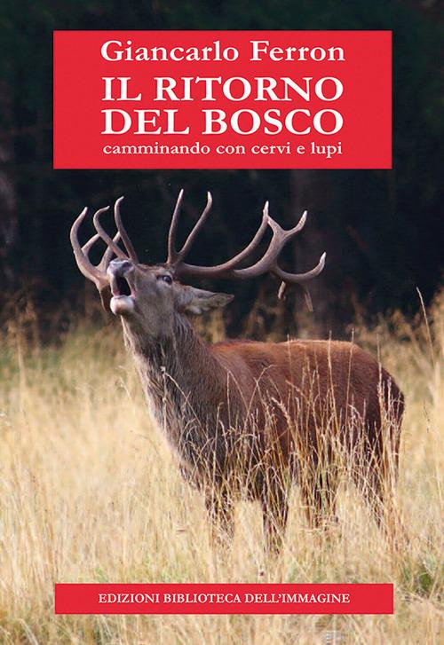 IL RITORNO DEL BOSCO