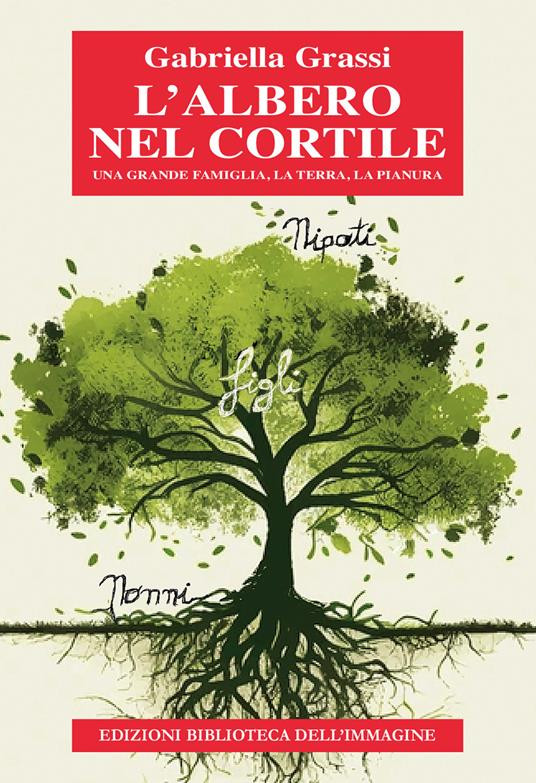 L ALBERO NEL CORTILE