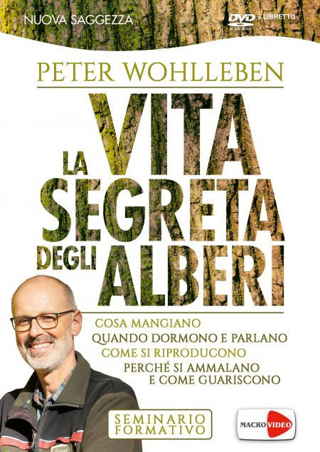 LA VITA SEGRETA DEGLI ALBERI