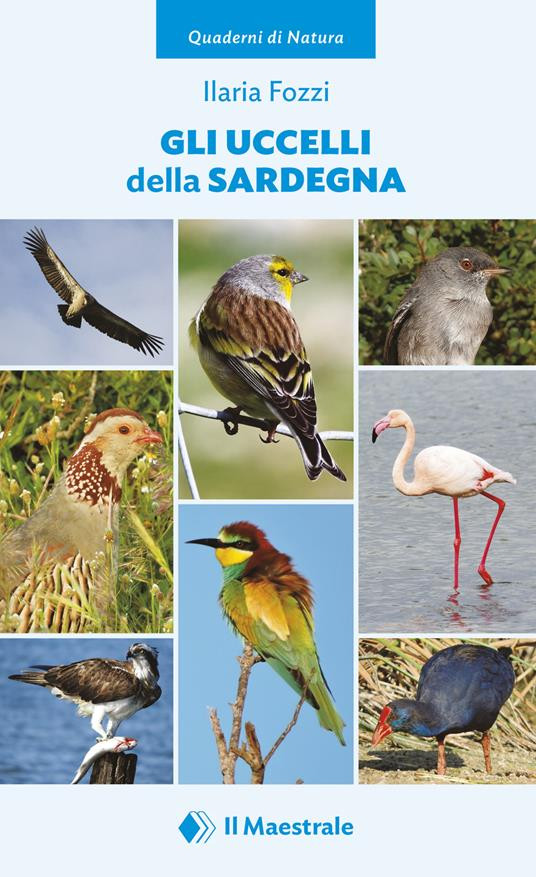 GLI UCCELLI DELLA SARDEGNA
