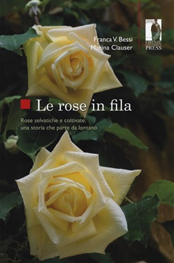 LE ROSE IN FILA