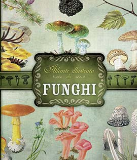 ATLANTE ILLUSTRATO DEI FUNGHI