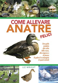 COME ALLEVARE ANATRE FELICI