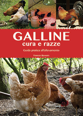 GALLINE CURA E RAZZE