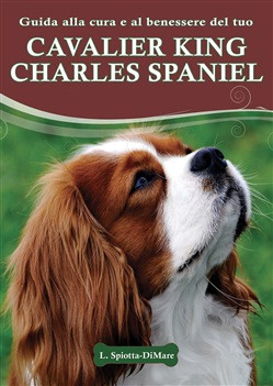 CAVALIER KING CHARLES SPANIEL