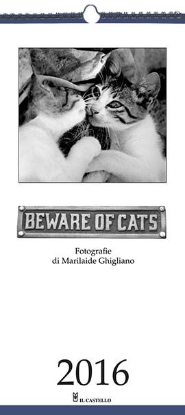 BEWARE OF CATS