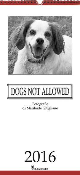 DOGS NOT ALLOWED 2016