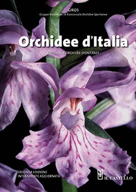 ORCHIDEE D ITALIA