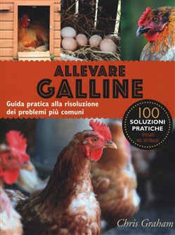 ALLEVARE GALLINE