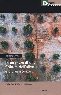 IN UN MARE DI ULIVI