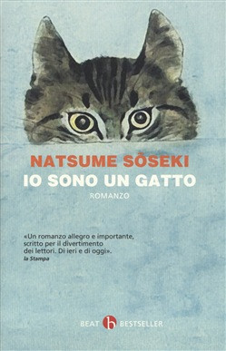 IO SONO IN GATTO