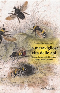 LA MERAVIGLIOSA VITA DELLE API