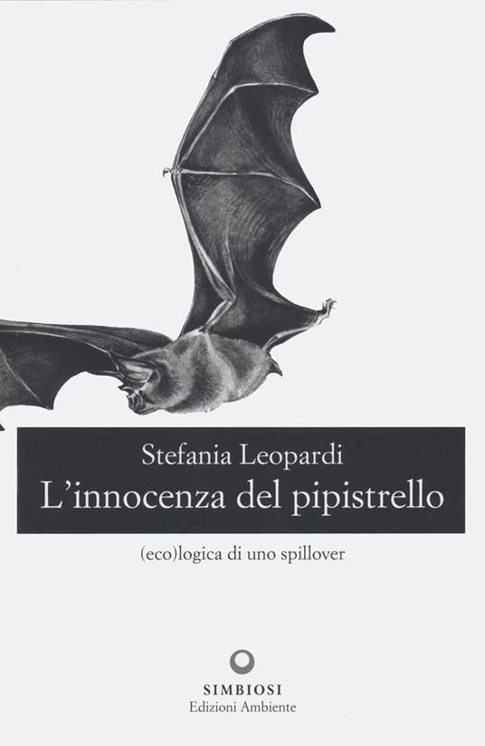 L INNOCENZA DEL PIPISTRELLO
