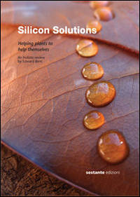 SILICON SOLUTIONS